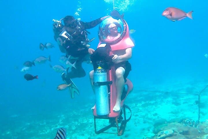 Mini-Sub Dive Tour in Cozumel — Pilot Your Own Submarine to See Caribbean Reef Life photo 3
