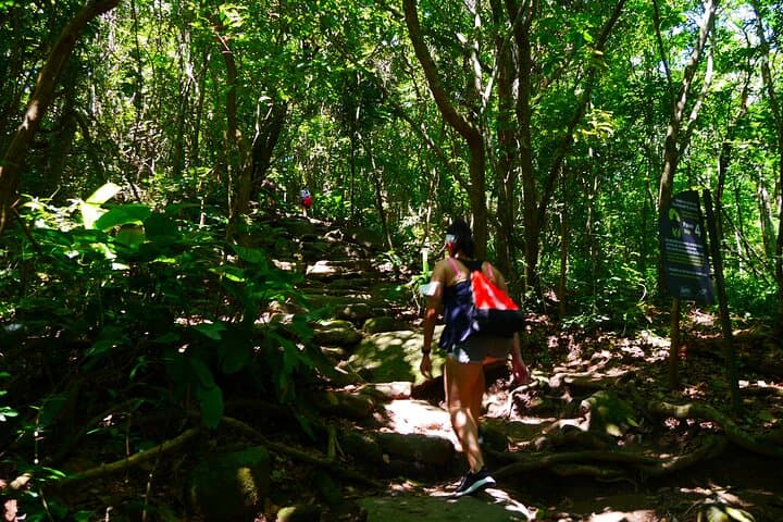 Hike Morro da Urca and Sunset Happy Hour at Mureta da Urca photo 4