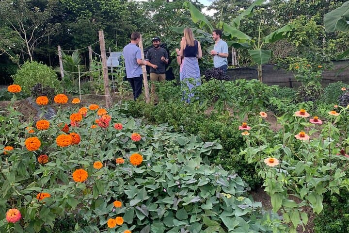 Six-Course Tropical Rainforest Chef's Table at Casa Paniagua, La Fortuna photo 4