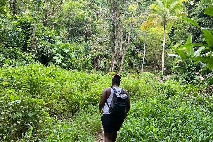 Hidden Gems Rainforest Adventure: Luquillo Hike & Swim in El Yunque photo 2