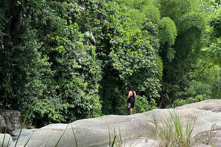 Hidden Gems Rainforest Adventure: Luquillo Hike & Swim in El Yunque photo 5