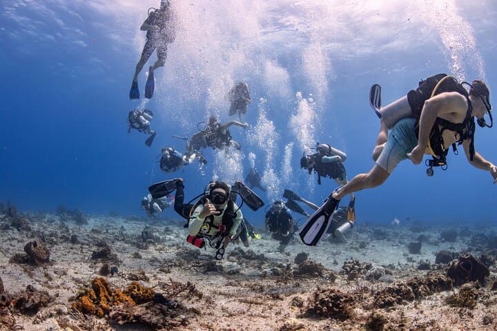 Cozumel Two-Tank Certified Diver Boat Dives — Reefs, Sharks & Turtles