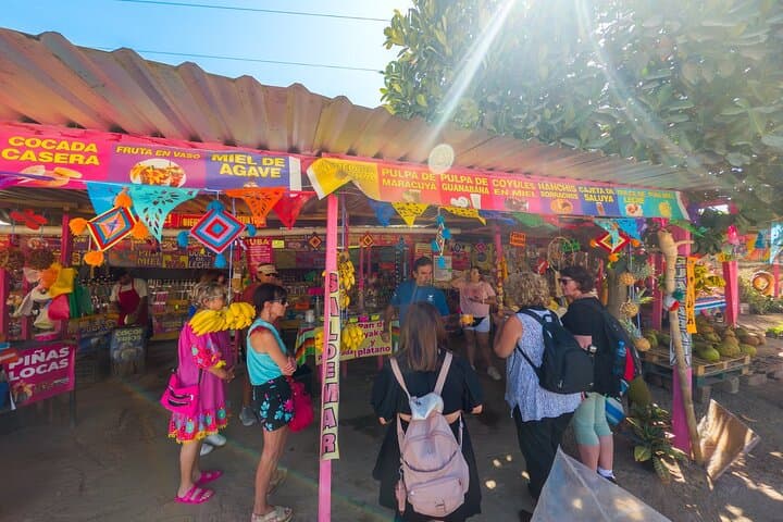 Sayulita and San Pancho Day Tour from Puerto Vallarta: Beaches, Surf & Local Flavors photo 5