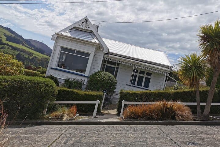 Dunedin Private Full-Day Tour: Octagon, Otago Peninsula & Wildlife photo 4