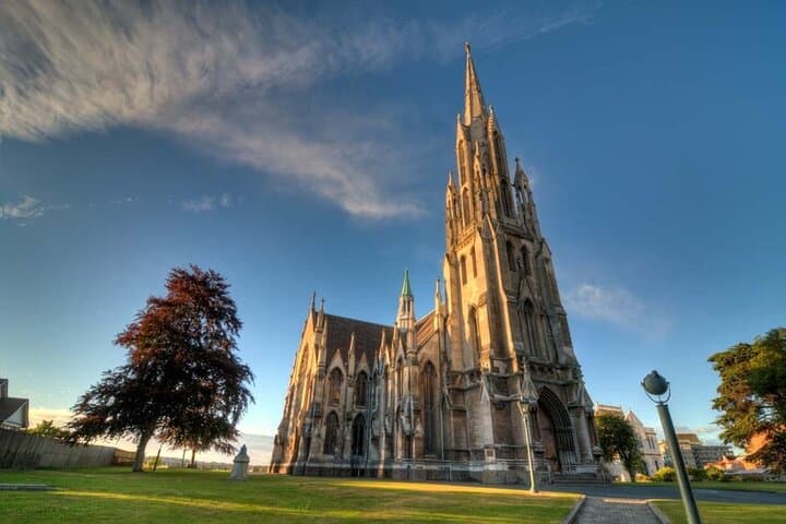 Dunedin Private Full-Day Tour: Octagon, Otago Peninsula & Wildlife photo 5