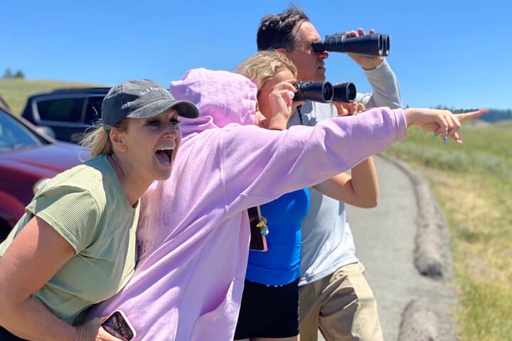 Yellowstone Lower Loop Private Tour: Old Faithful, Grand Prismatic & Wildlife photo 3