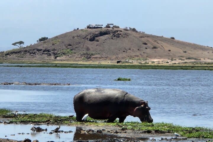 Amboseli Express Deluxe: 2-Day Safari with Kilimanjaro Views photo 6
