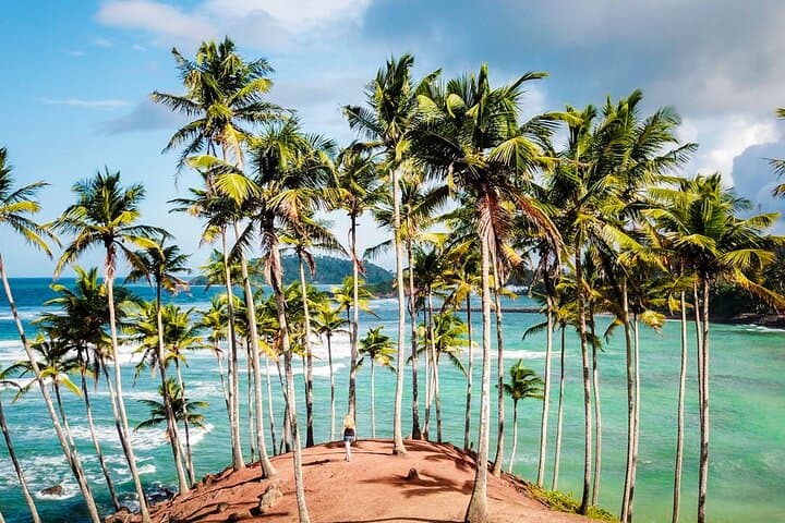 Explore Sri Lanka in 8 Days: Culture, Tea Country & Yala Safari photo 4