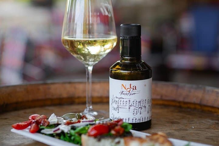 Istria Wine & Vinegar Tasting at Tenuta Tre Terre: A Taste of Coastal Croatia photo 3