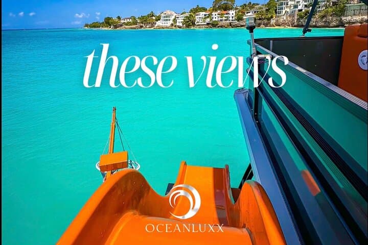 Luxury Barbados West Coast Cruise with Lunch, Open Bar & Turtle Snorkel photo 3