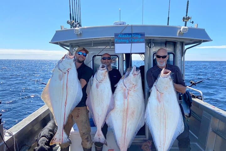 Ketchikan Salmon & Halibut Fishing Charter — 4–6 Hour Small-Boat Angling Trip photo 3