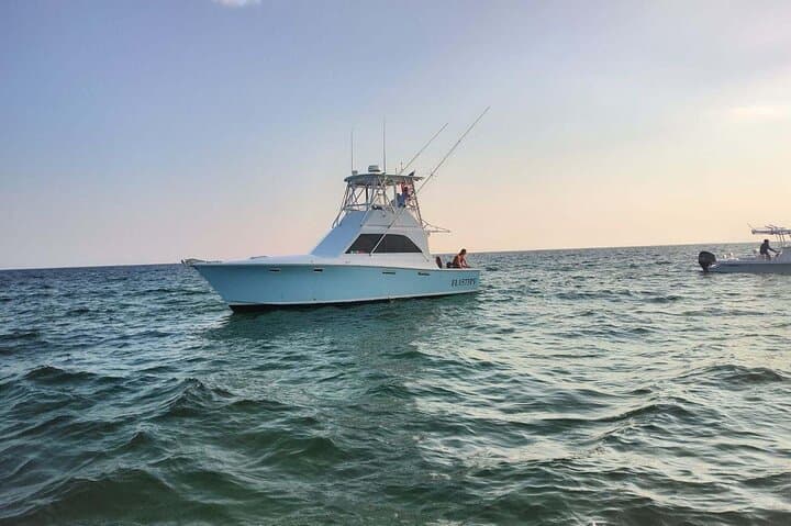 Private 2-Hour Dolphin Sightseeing Tour in Panama City Beach photo 5