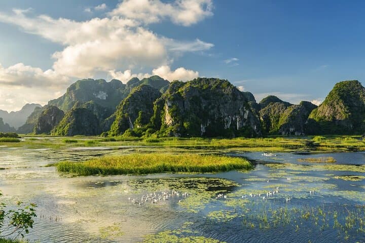 Private Ninh Binh Day Tour: Mua Cave & Van Long Nature Reserve