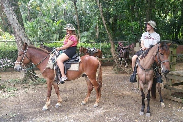 Horseback Riding and Snorkeling at West Bay Beach — Private Roatán Tour photo 1