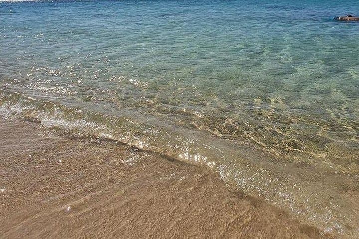 Horseback Riding and Snorkeling at West Bay Beach — Private Roatán Tour photo 3