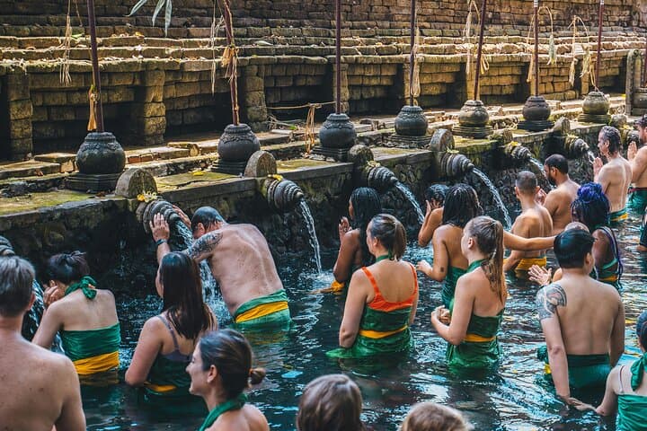 Ubud Full-Day Highlights: Monkey Forest, Tegalalang Rice Terrace & Tirta Empul (Private Tour) photo 3