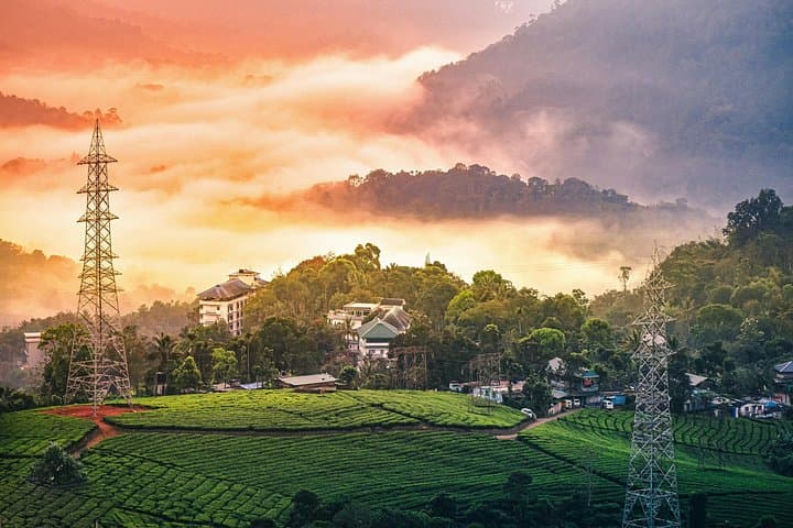 Munnar Day Trip from Kochi: Tea Hills, Waterfalls & Spice Farms photo 4