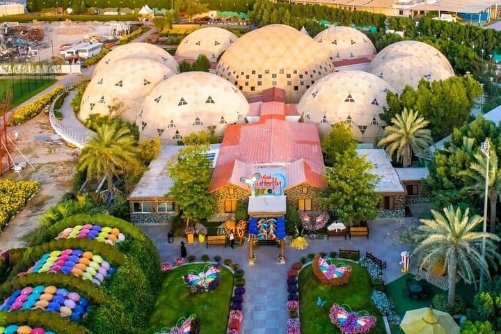 Dubai Butterfly Garden: Skip-the-Line Ticket with Private Transport