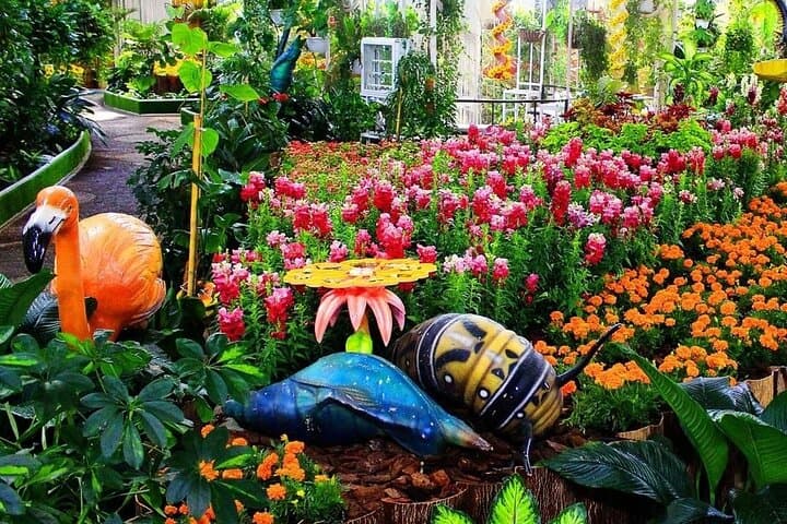 Dubai Butterfly Garden: Skip-the-Line Ticket with Private Transport photo 4