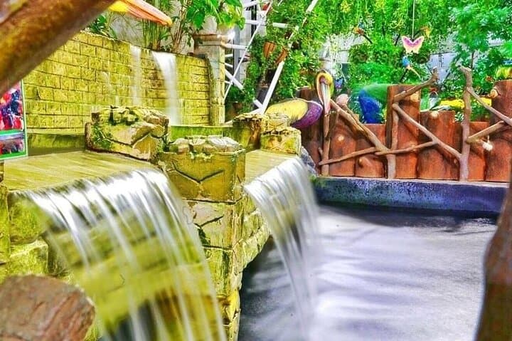 Dubai Butterfly Garden: Skip-the-Line Ticket with Private Transport photo 5