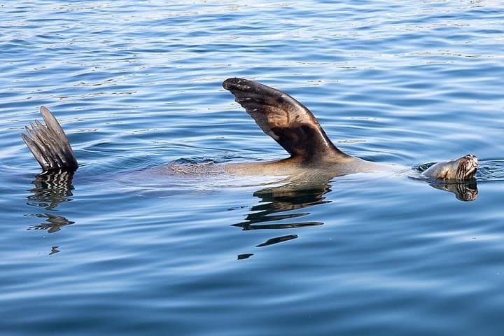Private Yacht Cruise With Ocean Views in Marina del Rey photo 6