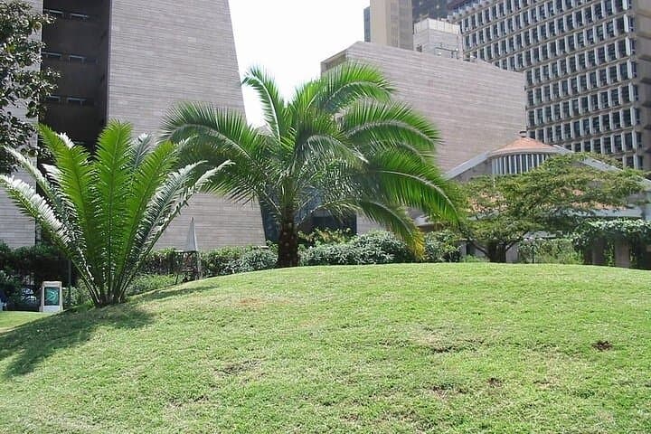 Half-Day Nairobi City Tour: Museums, Memorials & KICC Rooftop Views photo 4