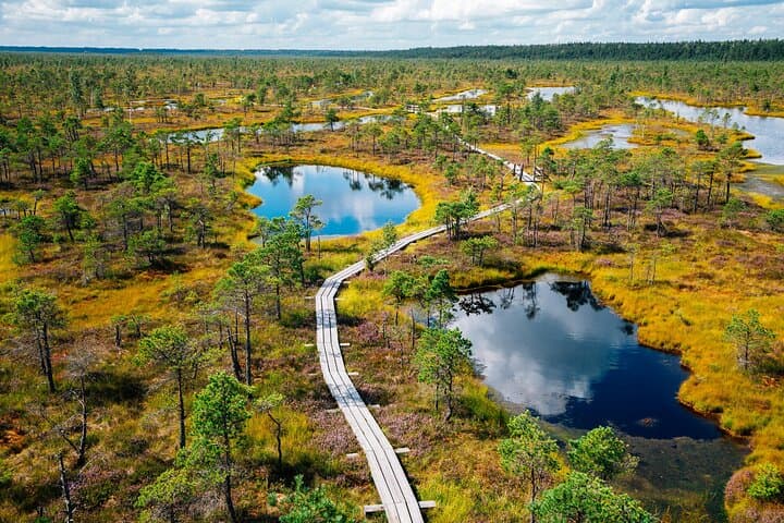 Private Tour to Kemeri National Park and Jūrmala from Riga: Bog Walks and Baltic Beaches