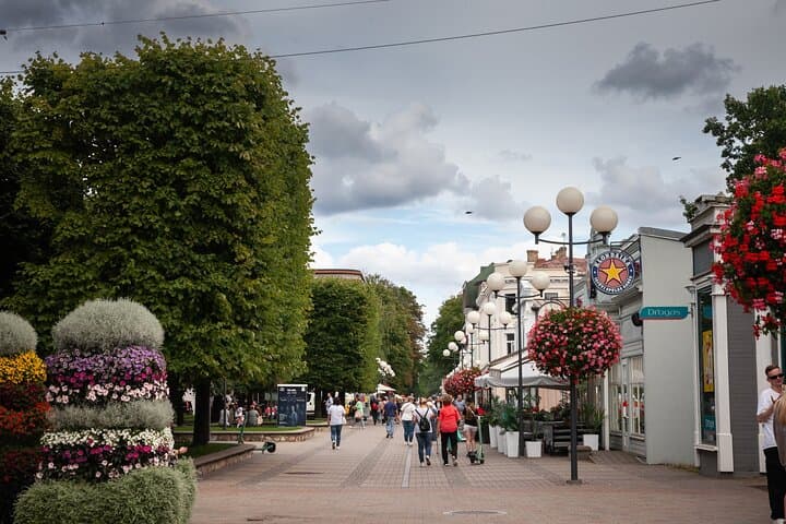Private Tour to Kemeri National Park and Jūrmala from Riga: Bog Walks and Baltic Beaches photo 6