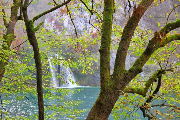 Plitvice Lakes Day Trip from Sibenik — Walk the Waterfalls and Wooden Trails photo 5