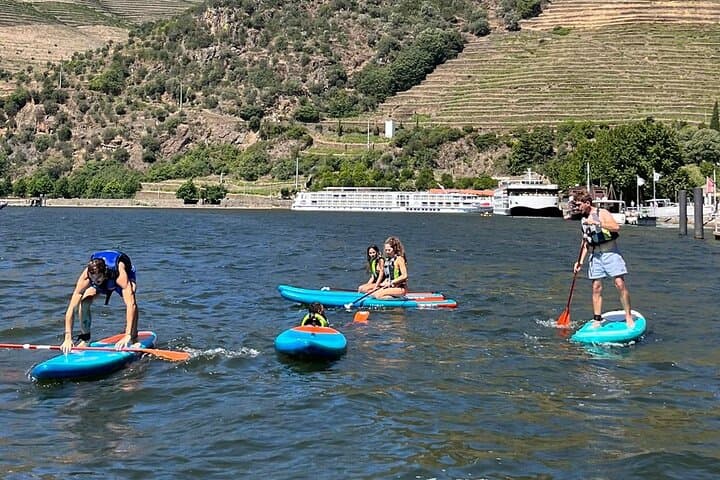 Private Speedboat and Water Sports on the Douro River in Pinhão photo 3