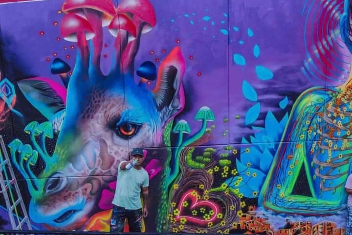 Inside Comuna 13: Local-Guided Graffiti Walk Through Medellín’s Transformation photo 3