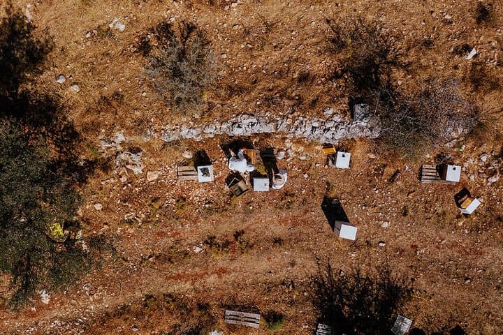 Private Crete Day Tour: Wine, Beekeeping, Zominthos & Anogia Village photo 2