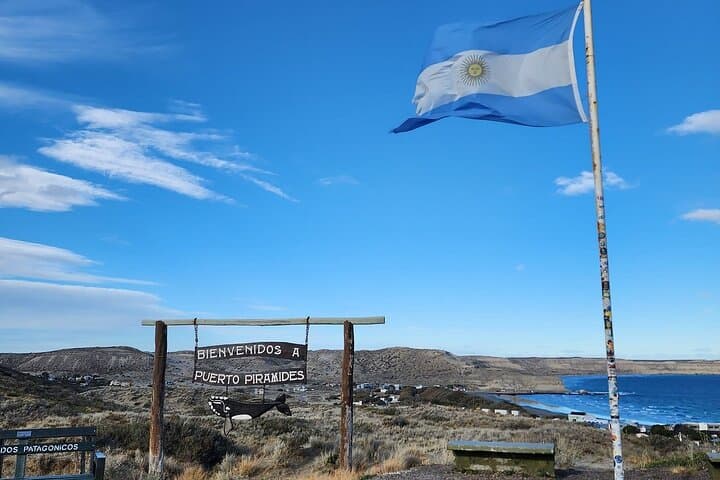 Peninsula Valdés Full-Day Wildlife & Whale Watching from Puerto Madryn photo 4