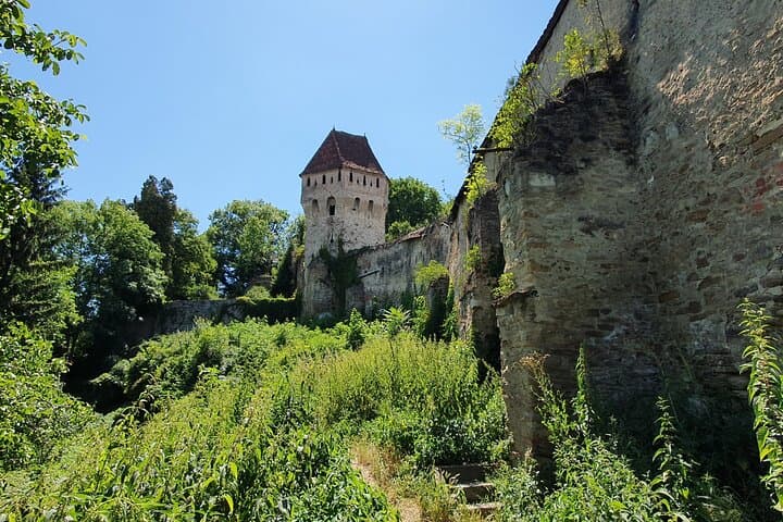 Private Day Trip to Bran Castle, Brasov & Sighisoara from Bucharest photo 5