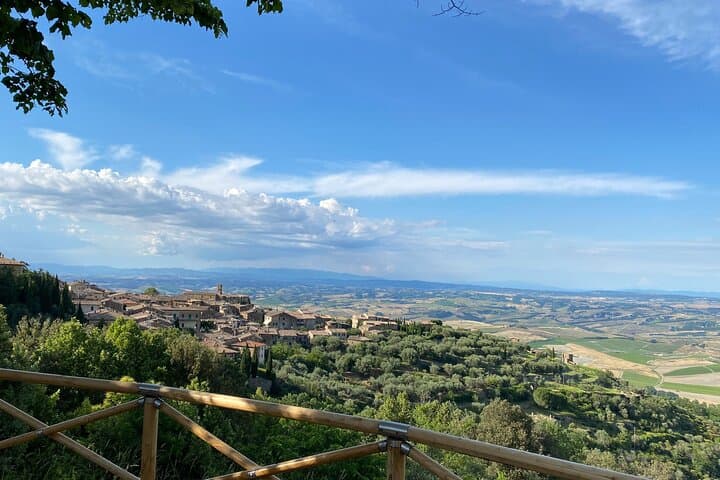 Bolgheri Supertuscan Wine Day Trip from Lucca: Tasting Tour