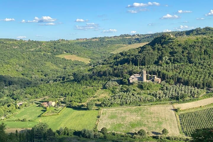 Bolgheri Supertuscan Wine Day Trip from Lucca: Tasting Tour photo 2