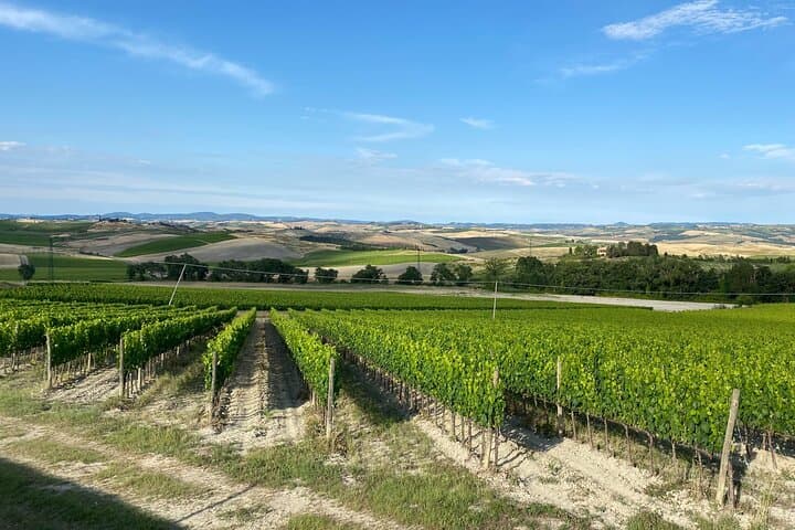 Bolgheri Supertuscan Wine Day Trip from Lucca: Tasting Tour photo 3