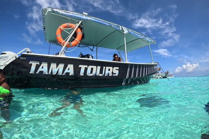 Moorea Lagoon Exploration and Snorkeling with Stingrays, Sharks and Turtles photo 6