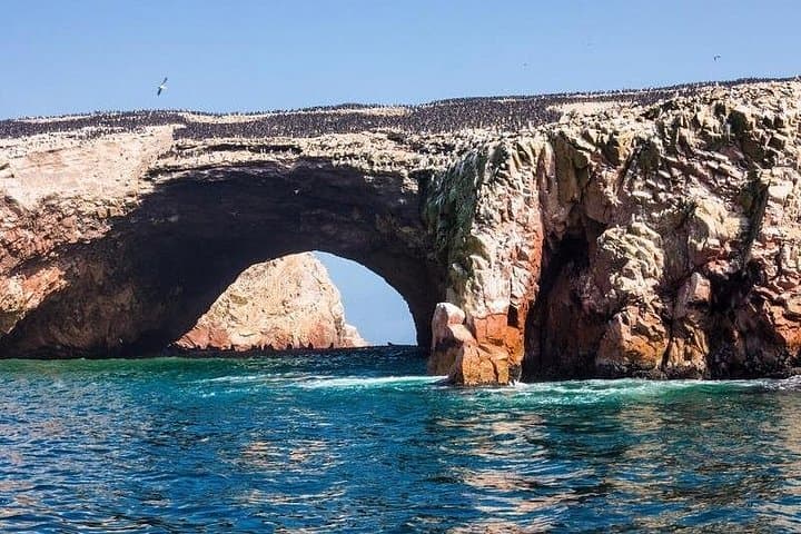 Ballestas Islands Cruise from Paracas — Penguins, Sea Lions & The Candelabro photo 1