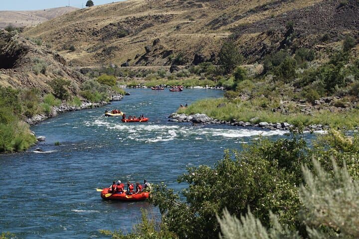 Full-Day Whitewater Rafting on the Deschutes River: Class III–IV Thrills from Maupin photo 5