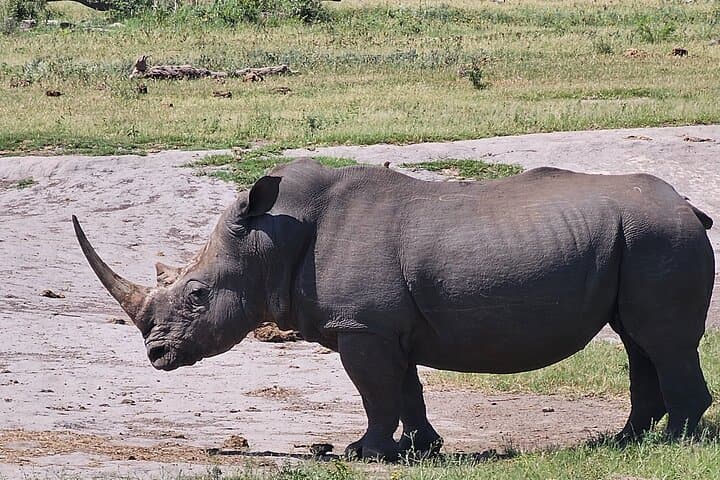 3-Day Kruger Safari & Panorama Route — 2-Night Big Five Adventure