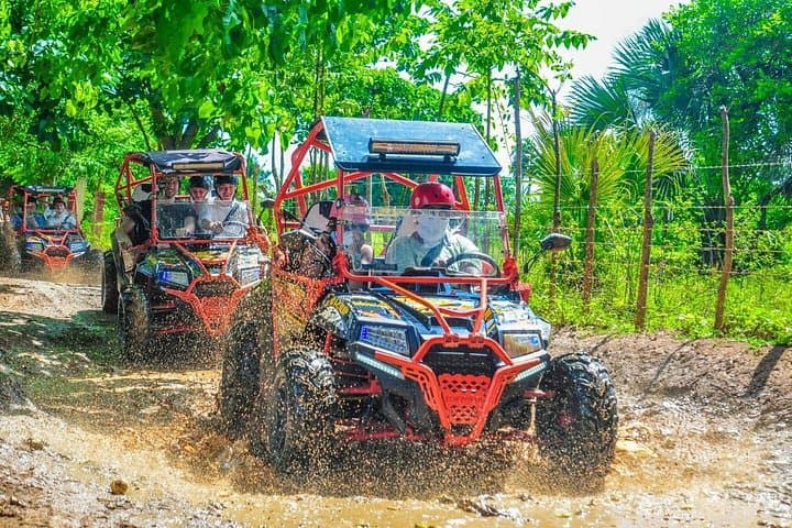 Experience the Thrills of Punta Cana's Jungle and Beaches on a VIP Buggy Adventure photo 1