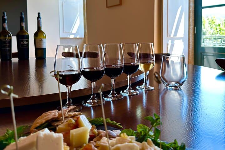 Private Douro Valley Winery Tour & Pinhão River Cruise from Porto