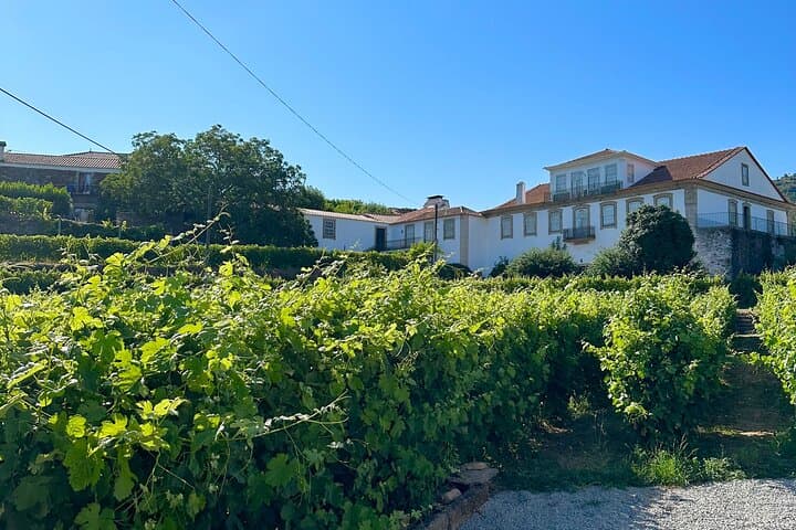 Private Douro Valley Winery Tour & Pinhão River Cruise from Porto photo 2