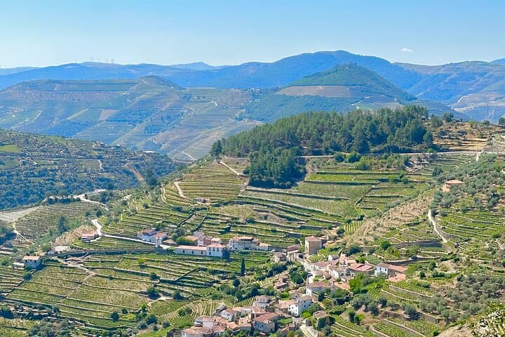 Private Douro Valley Winery Tour & Pinhão River Cruise from Porto photo 3