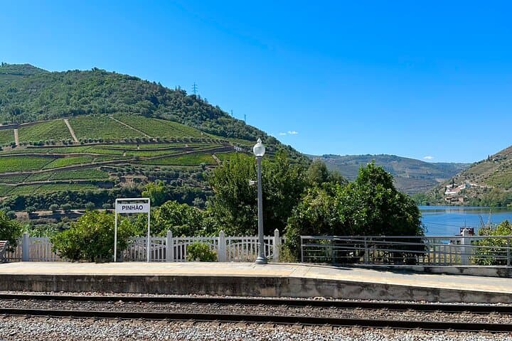 Private Douro Valley Winery Tour & Pinhão River Cruise from Porto photo 4