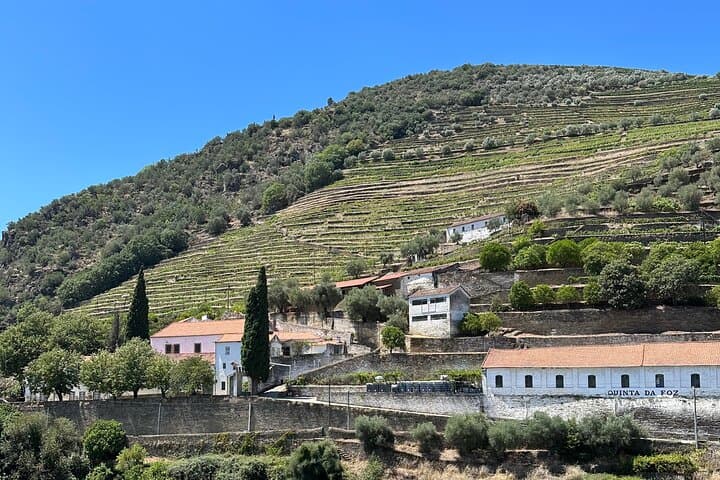 Private Douro Valley Winery Tour & Pinhão River Cruise from Porto photo 5