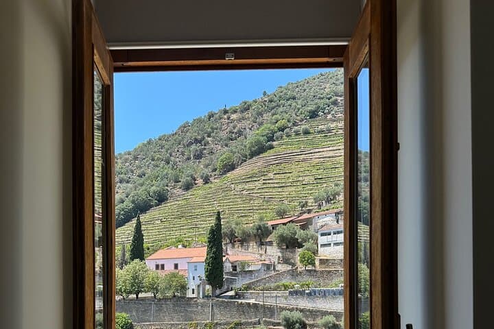 Private Douro Valley Winery Tour & Pinhão River Cruise from Porto photo 6