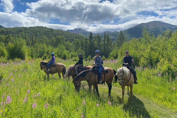 Zipline and Horseback Adventure in the Alaskan Mountains — Chugach Ranch Combo