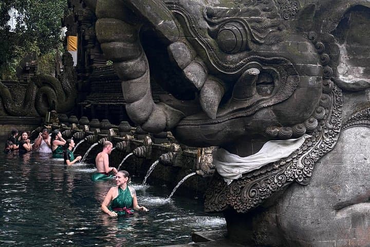Ubud Private Day Tour: Tegalalang, Tirta Empul & Jungle Waterfalls photo 3